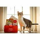 Cat Wet pet food Cat Trial Package (Schnupperpaket Katzen) 200g 1 Pack with different flavours and samples -6- Anifit